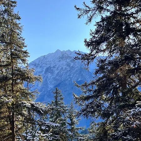 Le Cocon Des Cimes Daire